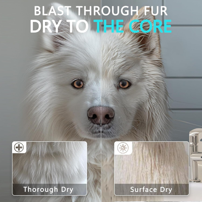 Canineando ProGroom TurboDryer™ – High-Velocity Pet Dryer